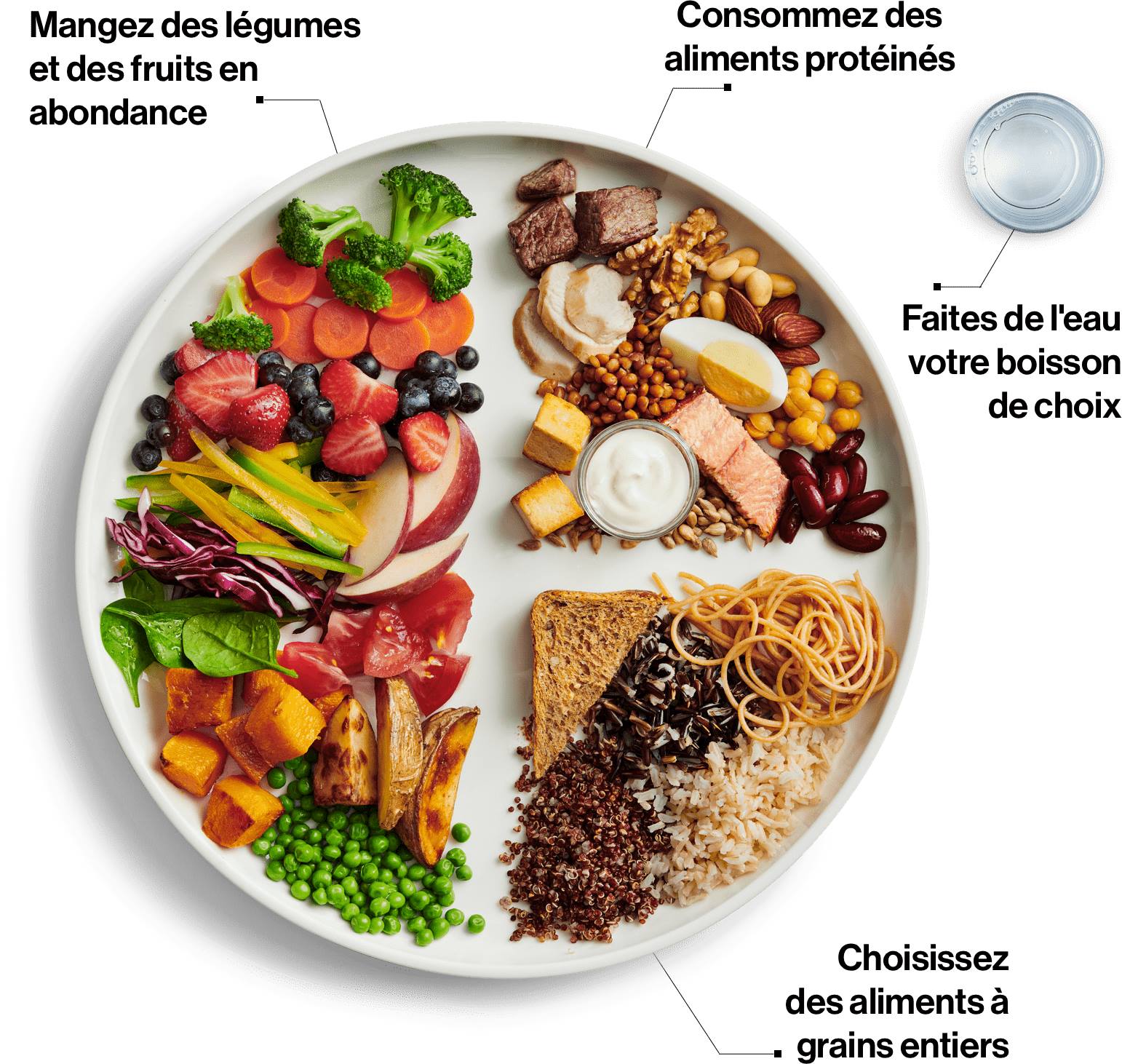 guide alimentaire canadien 2019